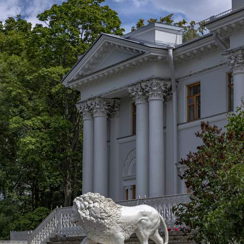 Photo #8655676