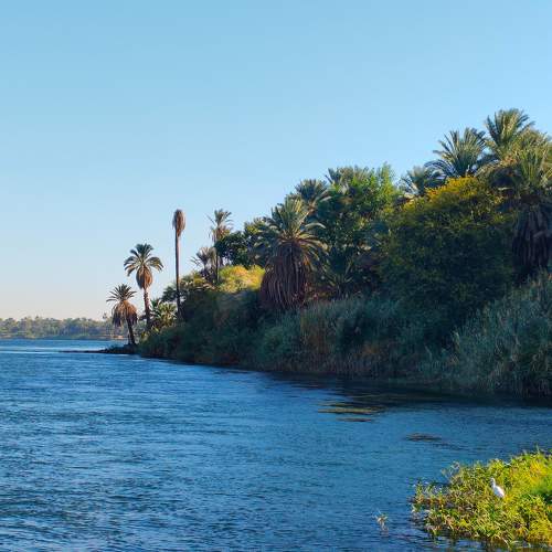 Photo #8655715