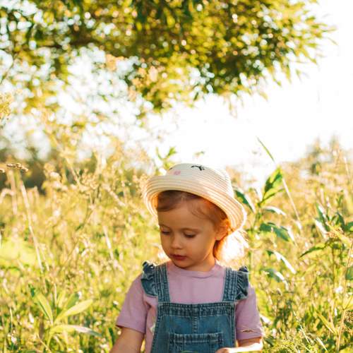 Photo #8655716