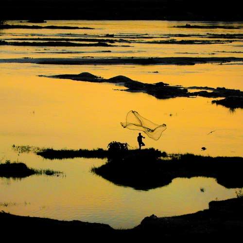 Photo #8656014