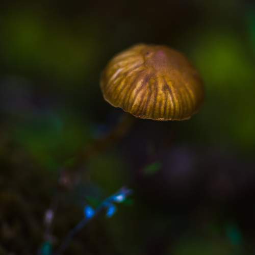 Photo #8656248