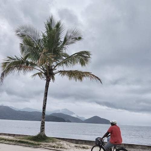 Photo #8656250