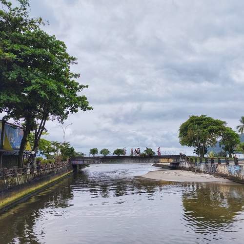 Photo #8656257