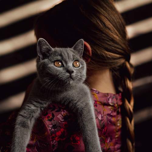 Photo #8656271