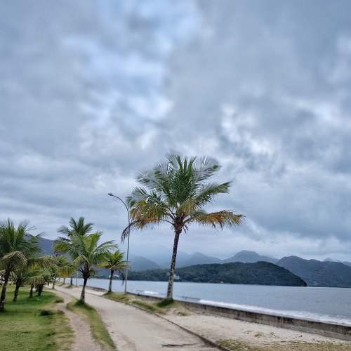 Photo #8656280