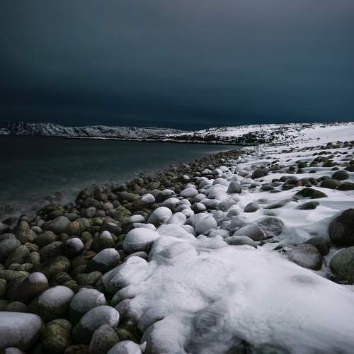 Photo #8656586