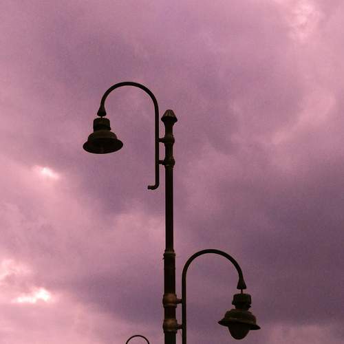 Photo #8656643