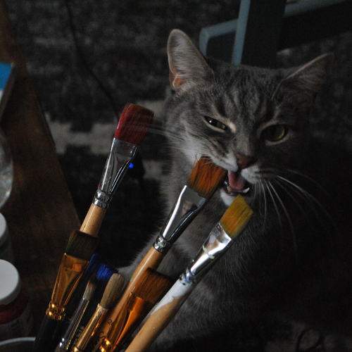 Photo #8656726