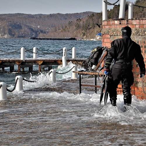 Photo #8656935