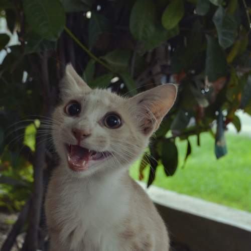 Photo #8657169