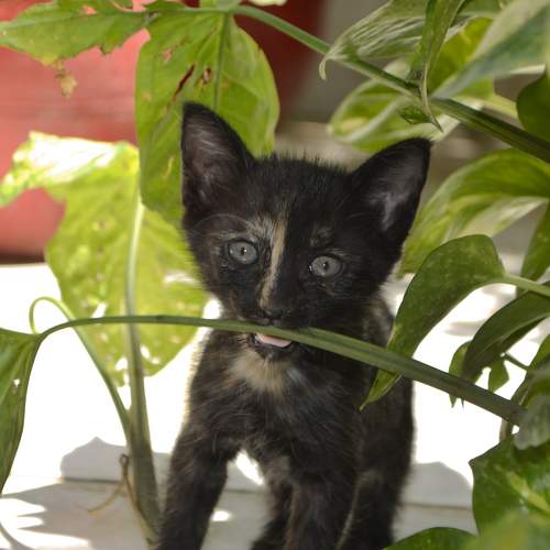 Photo #8657180