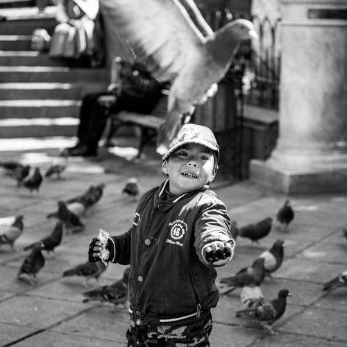 Photo #8657603
