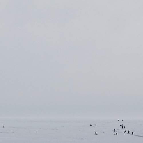 Photo #8657659