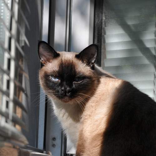 Photo #8657771