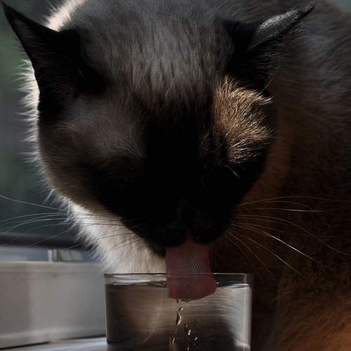 Photo #8657772