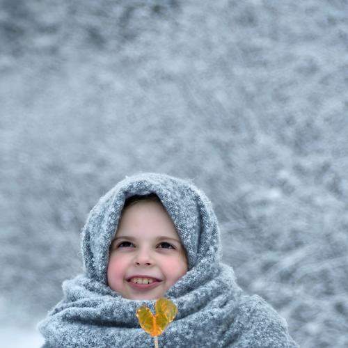 Фотография #8657906