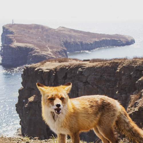 Photo #8658003