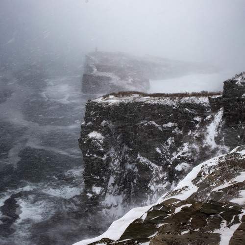 Photo #8658023