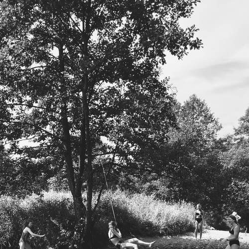 Photo #8658117