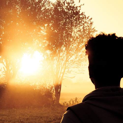 Photo #8658494
