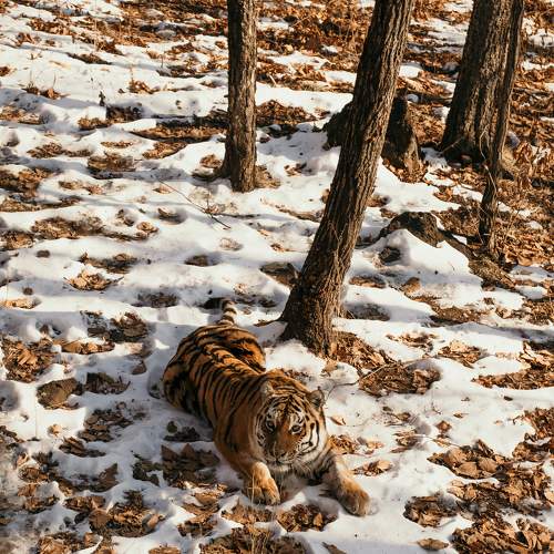 Photo #8658549
