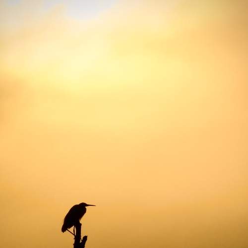 Photo #8658801
