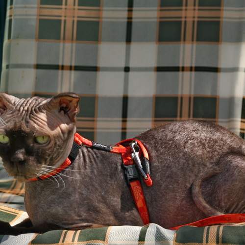 Photo #8658974