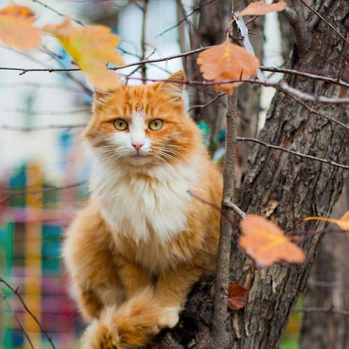Photo #8659187