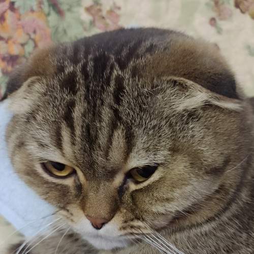 Photo #8659493
