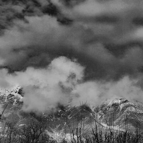 Photo #8659599