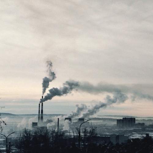 Photo #8660233