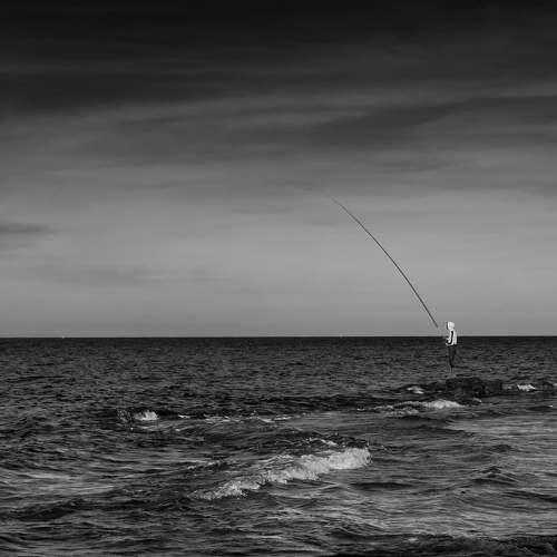 An ostrich hunter meets her
