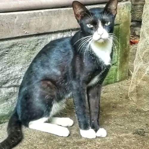 Photo #8660758