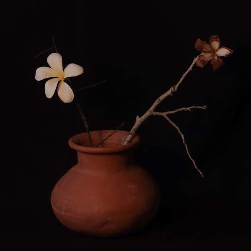 Photo #8660835