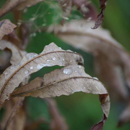 Photo #8660933