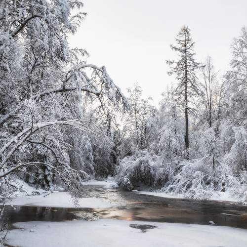 Зима на реке Рощинке