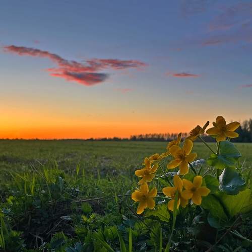 Photo #8661649