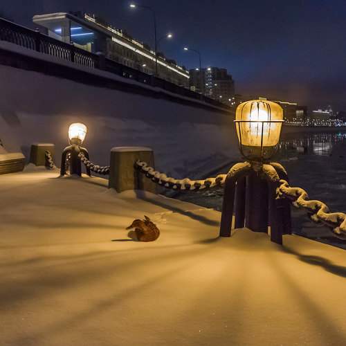 Photo #8661762