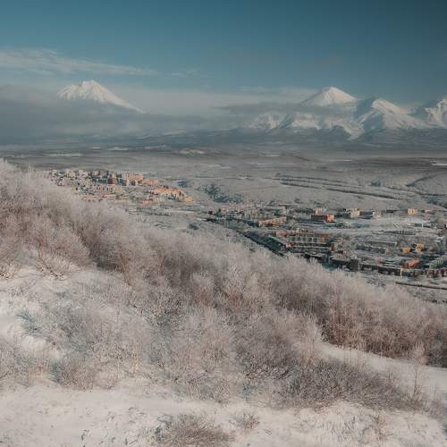 Photo #8662196