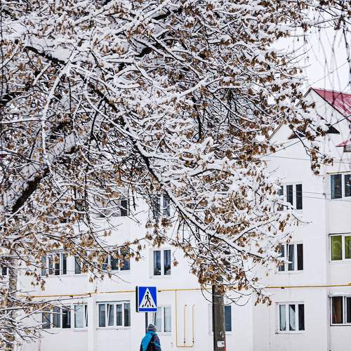 Photo #8662687