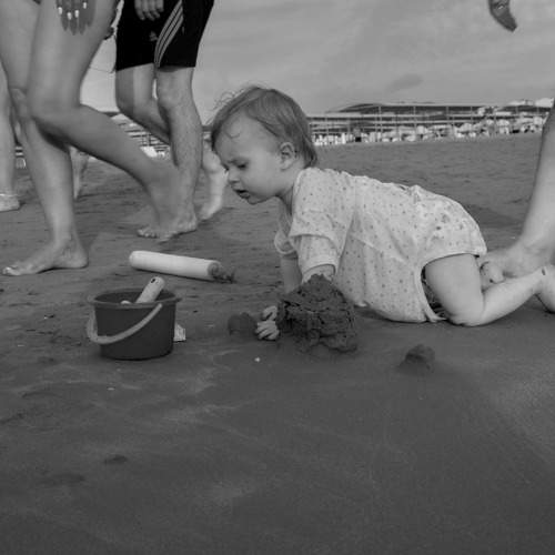 Photo #8662704