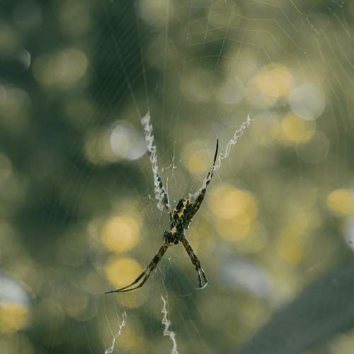Photo #8662825