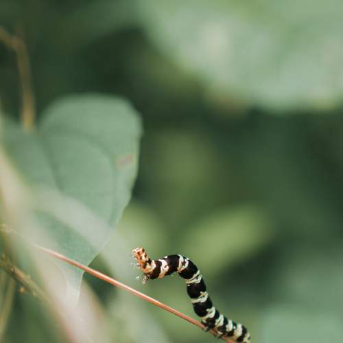 Photo #8662956