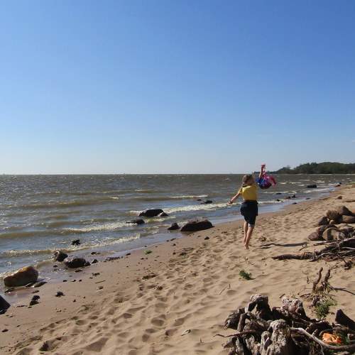 Photo #8662998