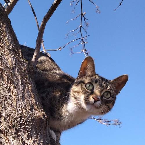 Photo #8663251