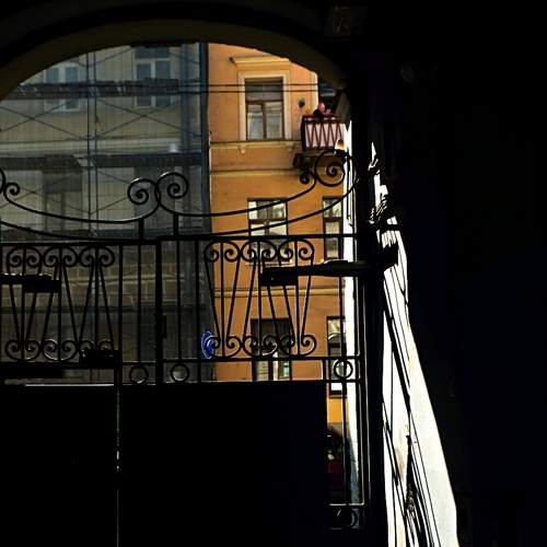 Photo #8663277