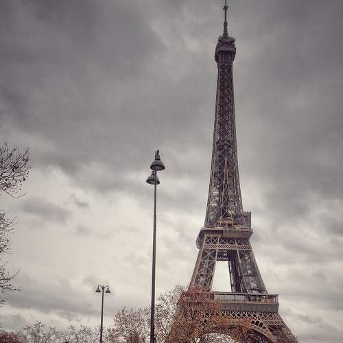 Photo #8663323