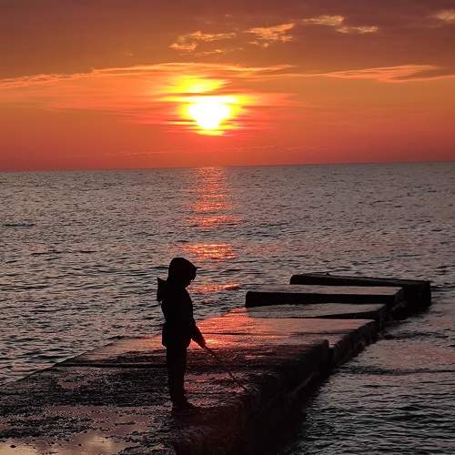 Photo #8663357