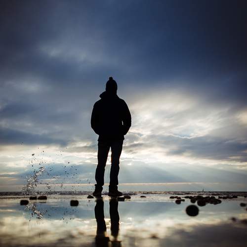 Photo #8663358