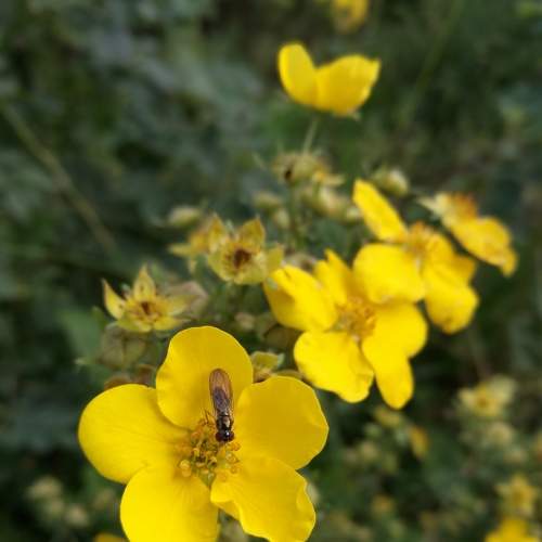 Photo #8663645